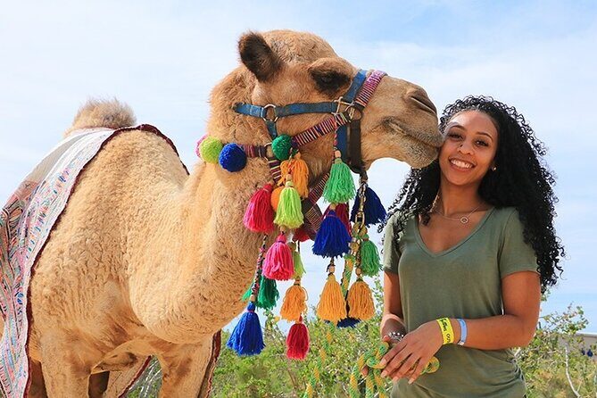 3 Hours Quad & Bedouin village with Camel Ride From Marsa Alam - Quad Biking Adventure