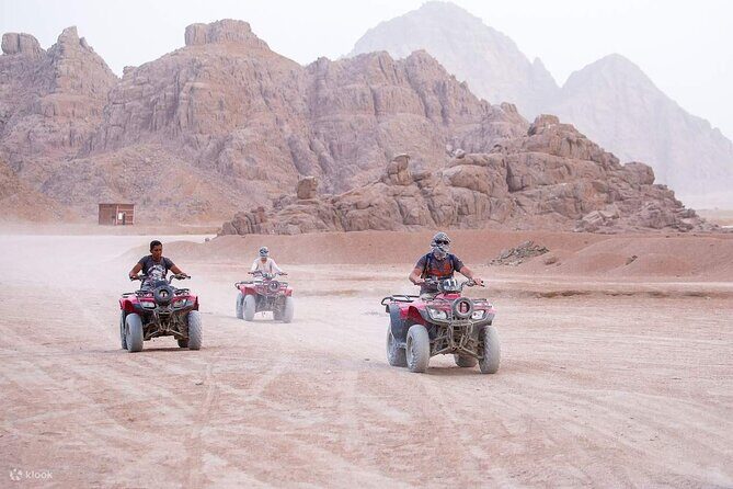3 Hours Quad Bike with Camel Ride From Sharm El-Sheikh - A Close Look at the 3 Hours Quad Bike with Camel Ride From Sharm El-Sheikh