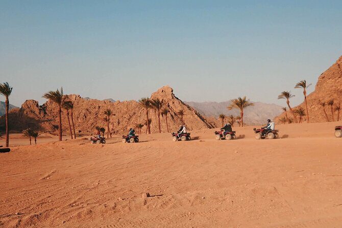 3 Hours Quad Bike with Camel Ride From Sharm El-Sheikh - FAQs
