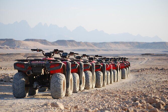 3 Hours Quad Bike with Camel Ride From Sharm El-Sheikh - Final Thoughts