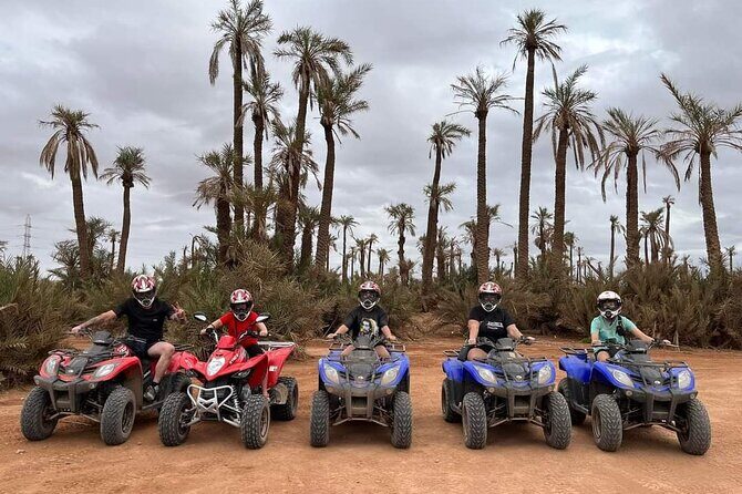 3 Hours Quad Excursion to the palm grove and Jbilat Desert - Key Points