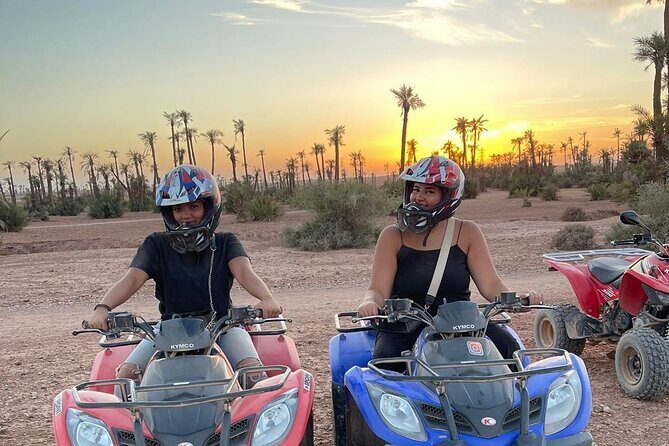 3 Hours Quad Excursion to the palm grove and Jbilat Desert - The Practical Details: What You Need to Know