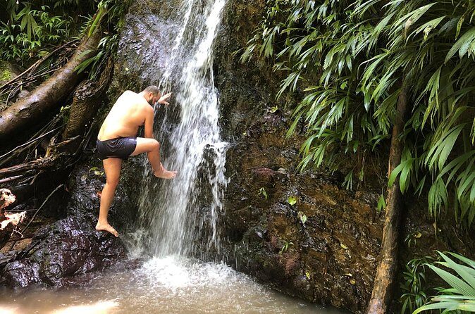 3 Hours Rainforest Walk in Tobago (Private) Lunch + Hummingbirds - Frequently Asked Questions