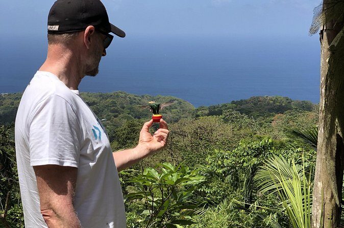 3 Hours Rainforest Walk in Tobago (Private) Lunch + Hummingbirds - Wrapping Up