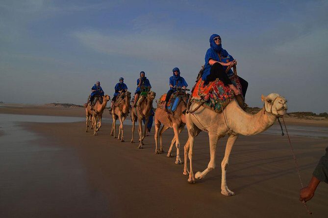 3 hours ride on camel at sunset - An Overview of the Tour