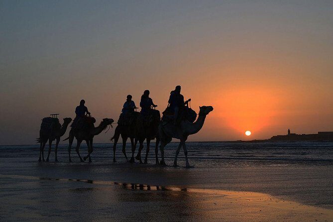 3 hours ride on camel at sunset - The Food and Beverage Experience