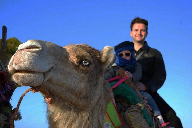 3 hours ride on camel at sunset - The Cost and Value