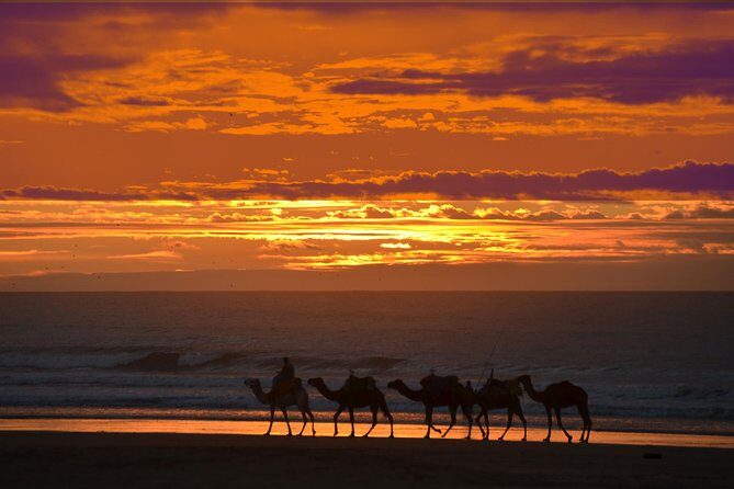 3 hours ride on camel at sunset - Practical Tips for Travelers