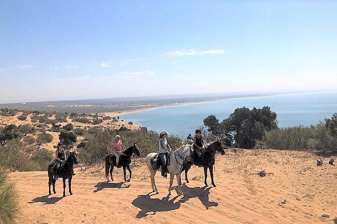 3 hours ride + picnic - Key Points