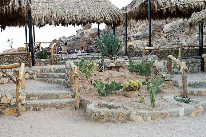 3 hours safari afternoon with the ATV quad & camel ride - Marsa Alam - FAQs