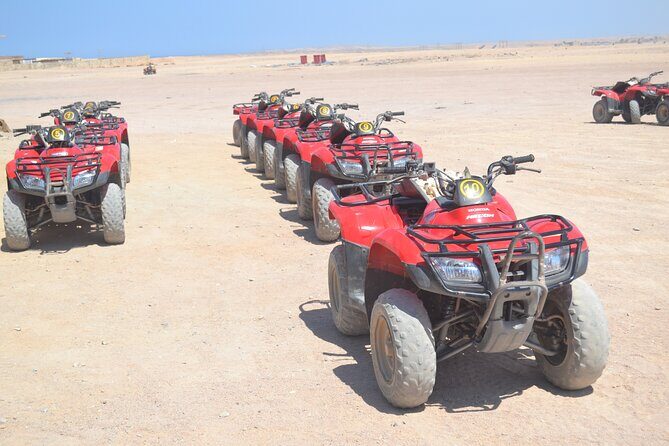 3 Hours Safari By ATV Quad Morning or Afternoon With Camel Ride - Marsa Alam - The Itinerary in Detail