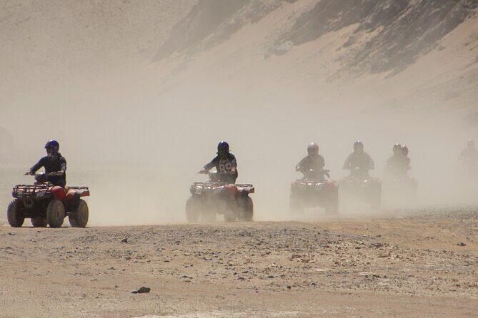 3 Hours Safari By ATV Quad Morning or Afternoon With Camel Ride - Marsa Alam - The Experience for Different Travelers