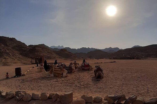 3 Hours Safari by Quad Bike - Hurghada - Whats Included and Whats Not?