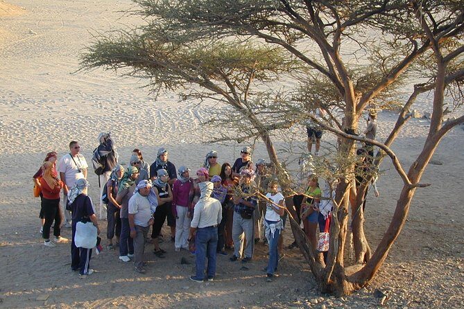 3 Hours Safari Sunrise Or Sunset by ATV Quad Bike Desert Fun - Sharm El Sheikh - The Value and Real-World Impressions