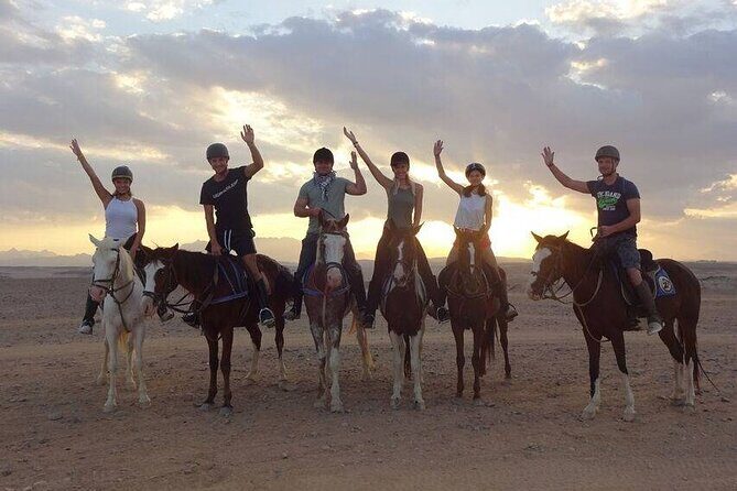 3 Hours Sunrise Horse Riding Beach and Desert from Marsa Alam - An In-Depth Look at the Horseback Riding Tour