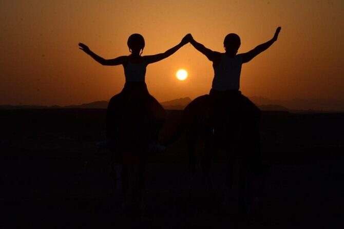 3 Hours Sunrise Horse Riding Beach and Desert from Marsa Alam - Who Will Love This Tour?