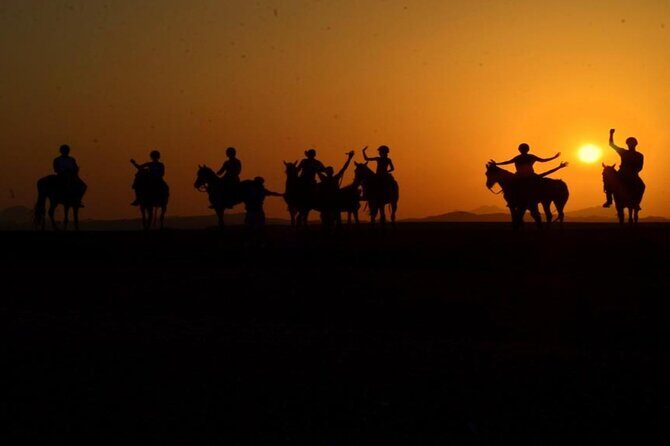 3 Hours Sunrise Horse Riding Beach and Desert from Marsa Alam - The Sum Up