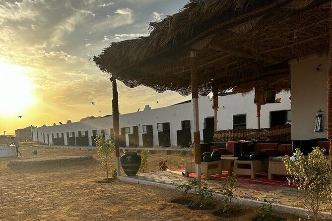 3 Hours Sunrise Horse Riding Beach and Desert from Marsa Alam - FAQ