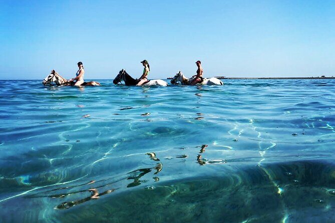 3 Hours Swimming By Horse in Red Sea Riding on the Beach and Dessert - Hurghada - The Itinerary: What Youll Actually Do