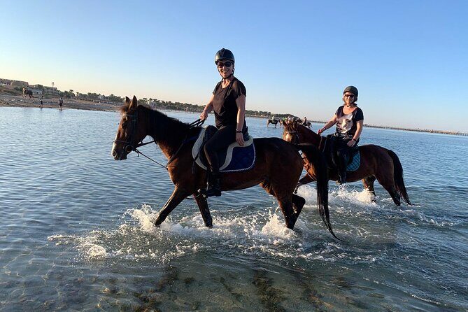 3 Hours Swimming By Horse in Red Sea Riding on the Beach and Dessert - Hurghada - Who Will Love This Tour?