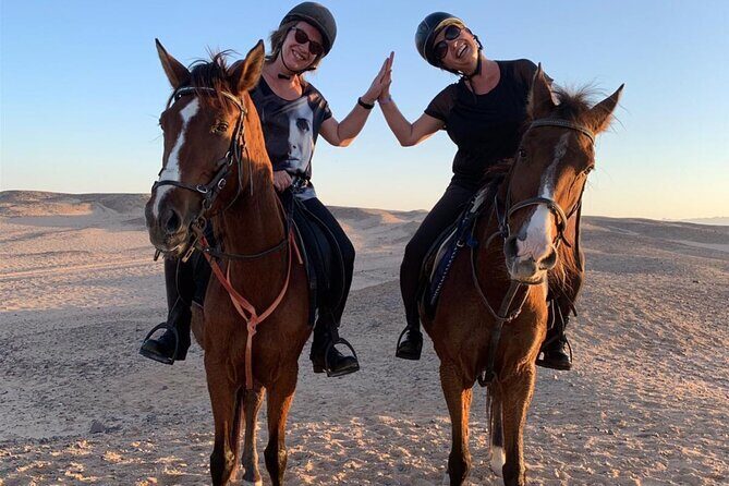 3 Hours Swimming By Horse in Red Sea Riding on the Beach and Dessert - Hurghada - Final Thoughts: Why Consider This Tour?