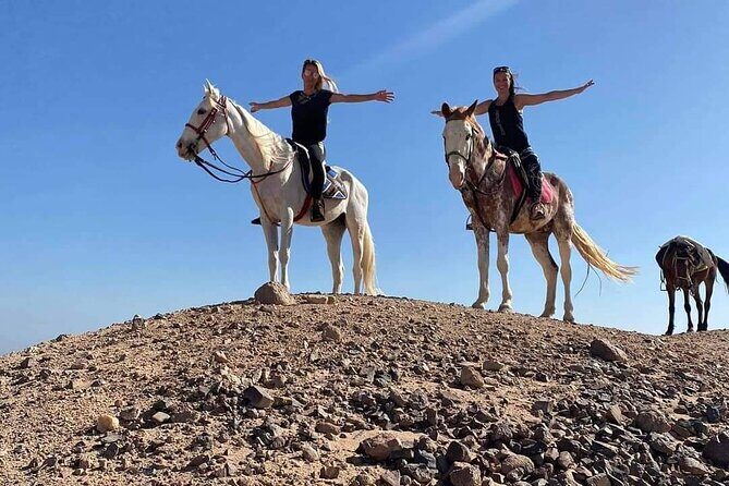 3 Hours Swimming By Horse in Red Sea Riding on the Beach and Dessert - Hurghada - FAQs