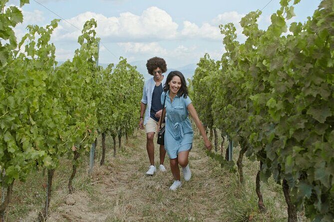3 hours Wine Tour in Niagara-on-the-Lake - What Reviewers Say