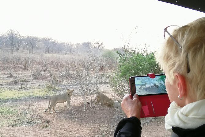 3 hrs Game drive in Chobe National Park (Leon Safaris Gold) - Pricing and Value Analysis