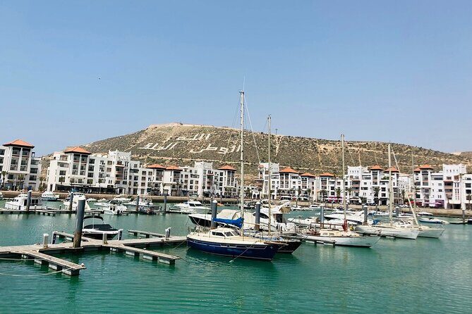 3 in 1 = city tour half day + camel ride 2hours + hammam massage 2hours - The Sum Up