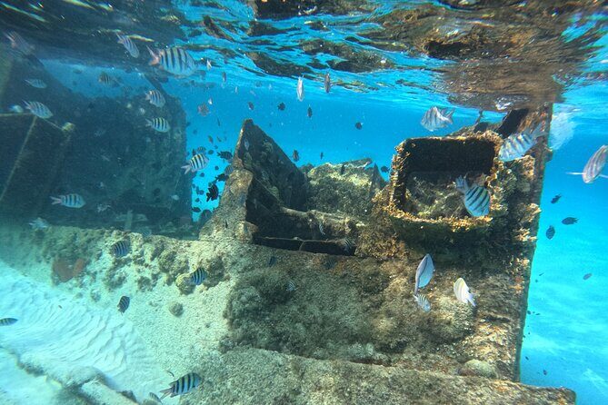 3 in 1 Jungle Tour Adventure Cancun - Snorkeling in Vibrant Reefs