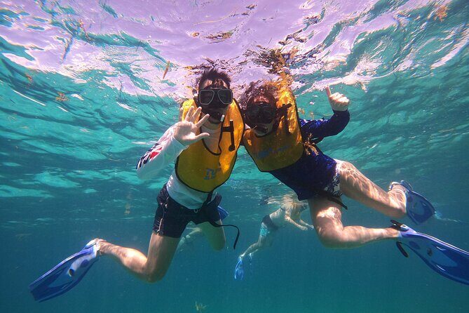 3 in 1 Jungle Tour Adventure Cancun - Pricing and Value