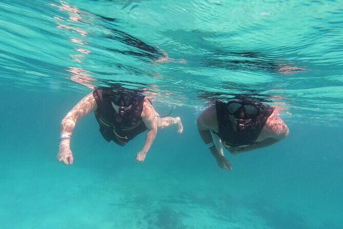 3 in 1 Private Tour Tulum Cenote and Snorkeling in the reef - What to Expect from the Tour