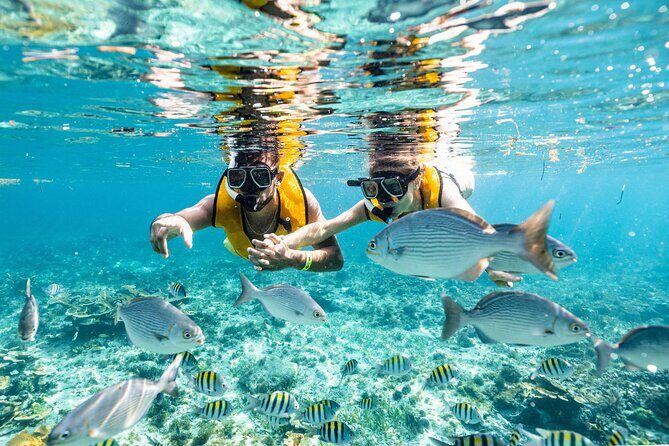3 in 1 Snorkeling, Parasailing, with Turtle - Introduction: What’s on Offer?