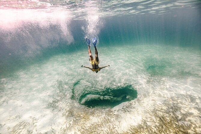 3 in 1 Snorkeling, Parasailing, with Turtle - The Sum Up: Who Will Love This Experience?