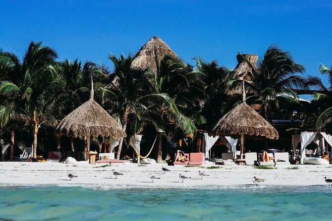 3 Island Adventure in Holbox: Explore, Relax, and Unwind - An In-Depth Look at the Itinerary