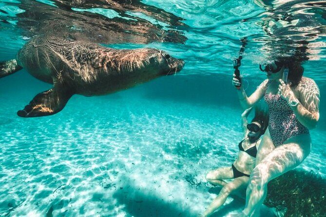 3 Island Wildlife Snorkel - Exploring the 3 Island Wildlife Snorkel: A Detailed Review