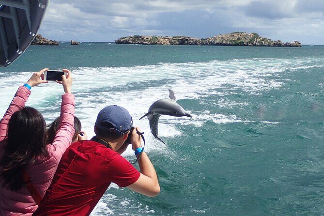 3 Island Wildlife Snorkel - FAQ