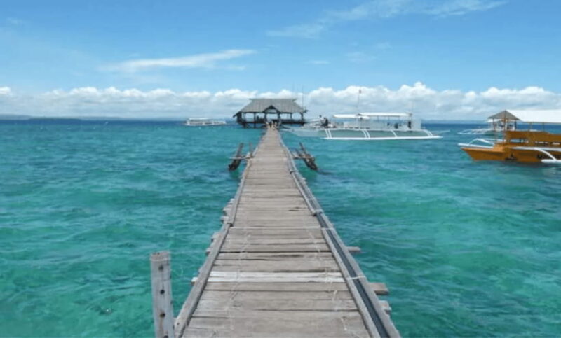 3 Islands Hopping at Gilutungan, Caohagan, Nalusuan + Lunch - Who Is This Tour For?