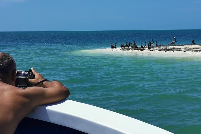 3 Islands Snorkel on boat, Isla Blanca, Contoy, Mujeres - The Marine Environment: Why It Matters