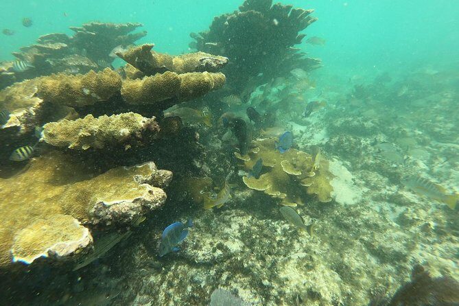 3 Islands Snorkel on boat, Isla Blanca, Contoy, Mujeres - The Price: Is It Worth It?