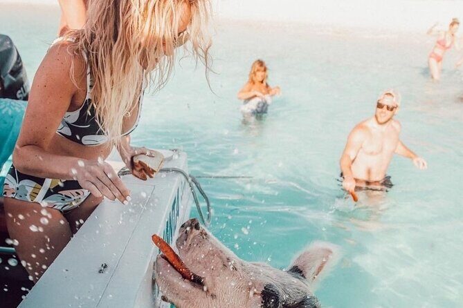3 Islands Tour, Swim with Pigs, Turtles, Snorkelling & lunch - Frequently Asked Questions