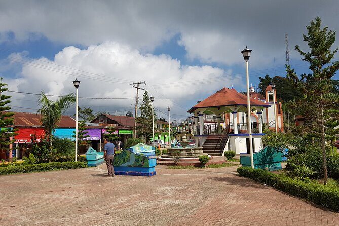 3 Levels of Huatulco the coffee you've been looking for - The Sum Up