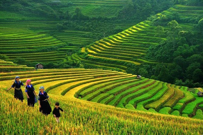 3-Night Sapa Trek and Homestay with Round Trip Transfer from Hanoi - The Journey Begins: From Hanoi to Sapa