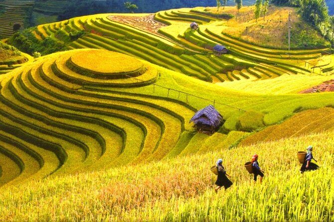 3-Night Sapa Trek and Homestay with Round Trip Transfer from Hanoi - Trekking Through Muong Hoa Valley