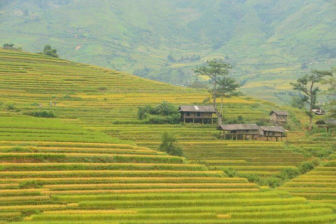 3-Night Sapa Trek and Homestay with Round Trip Transfer from Hanoi - Final Thoughts: Who Will Love This Tour?