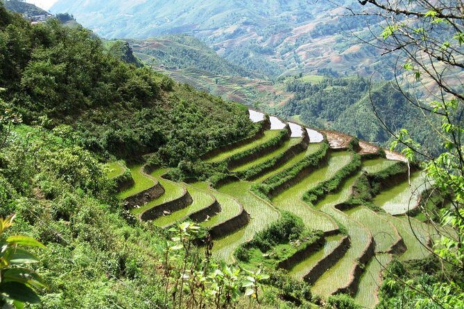 3-Night Sapa Trekking Tour from Hanoi - Why the Pricing Works for Travelers