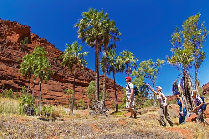 3 night Uluru, Kata Tjuta and Kings Canyon Camping Adventure - Why This Tour Offers Great Value