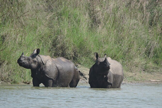 3 Nights 4 Days Bardia Tiger Tracking Tour | Bardia Jungle Safari - Key Points
