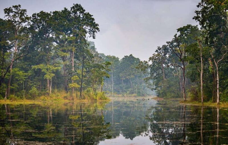 3 Nights 4 Days: Chitwan National Park with Tower Night Stay - An Overview of the Journey