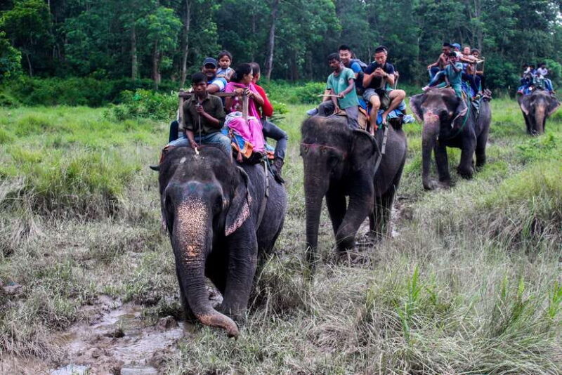 3 Nights 4 Days: Chitwan National Park with Tower Night Stay - FAQ
